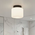 waterproof bathroom ceiling light mounted in a modern home bathroom