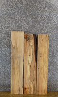 3- Kiln Dried Salvaged Maple Lumber Boards/Craft Pack Slabs 43888
