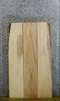 3- Maple Rustic Kiln Dried Lumber Pack/Craft Boards 41422