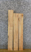 3- Rustic Kiln Dried Maple Lumber Boards/Shelf Slabs/Craft Pack 43551