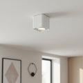 white semi flush ceiling light mounted on a white ceiling in a living room