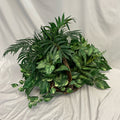 Arrangement