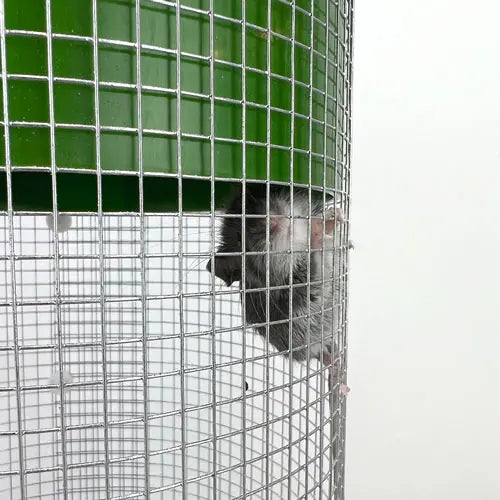 Billy-Bob™ Mouse Trap: Humane Multi-Catch Mouse Trap