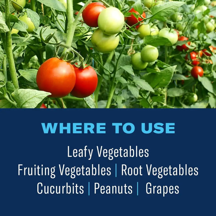 BIOADVANCED Tomato and Vegetable Insect Killer
