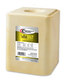 Champion's Choice Sulfur Salt Lick (Block)