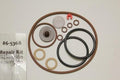 Chapin 6-5368: ProSeries Seal Kit