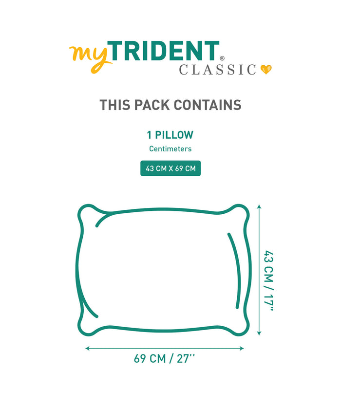 Classic Dream Comfort 1Pc Pillow, White|650 GSM Micro Polyester