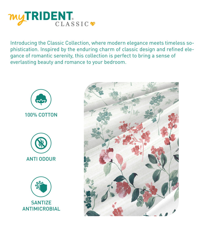 King Bedsheet