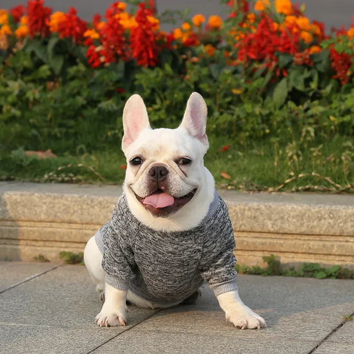 Dog Sweatshirt & Warm Vest for Small Dogs | Winter Coat for Pug, French Bulldog