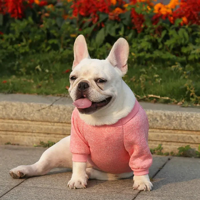 Dog Sweatshirt & Warm Vest for Small Dogs | Winter Coat for Pug, French Bulldog