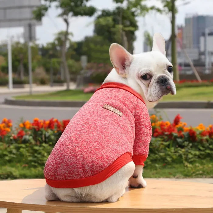 Dog Sweatshirt & Warm Vest for Small Dogs | Winter Coat for Pug, French Bulldog