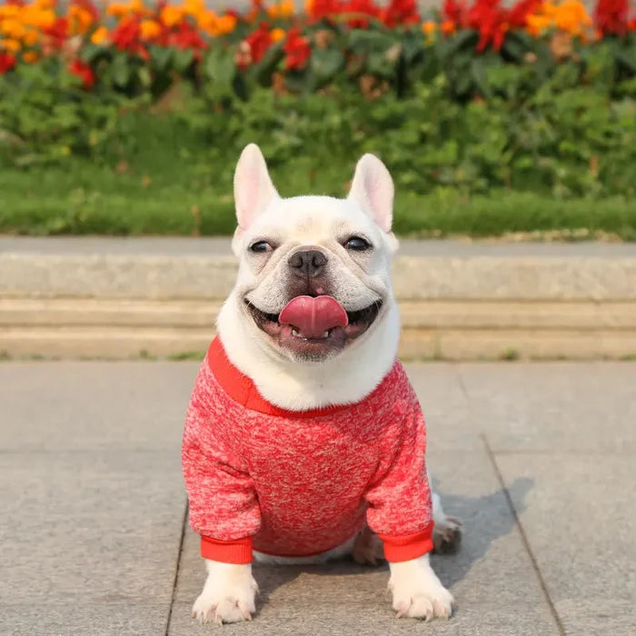 Dog Sweatshirt & Warm Vest for Small Dogs | Winter Coat for Pug, French Bulldog