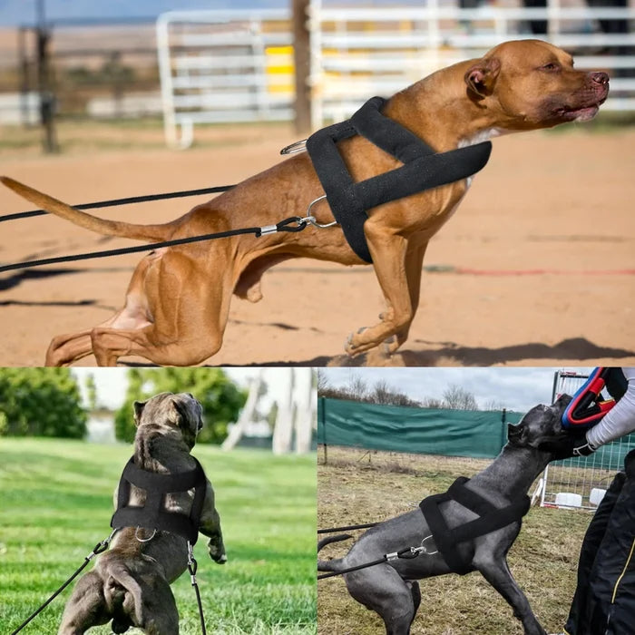Dog Weight Pulling Harness | Black Adjustable Training Vest & Leash for Medium/Large Working Dogs like Husky