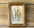 Esmeralda Farm Collected Prints