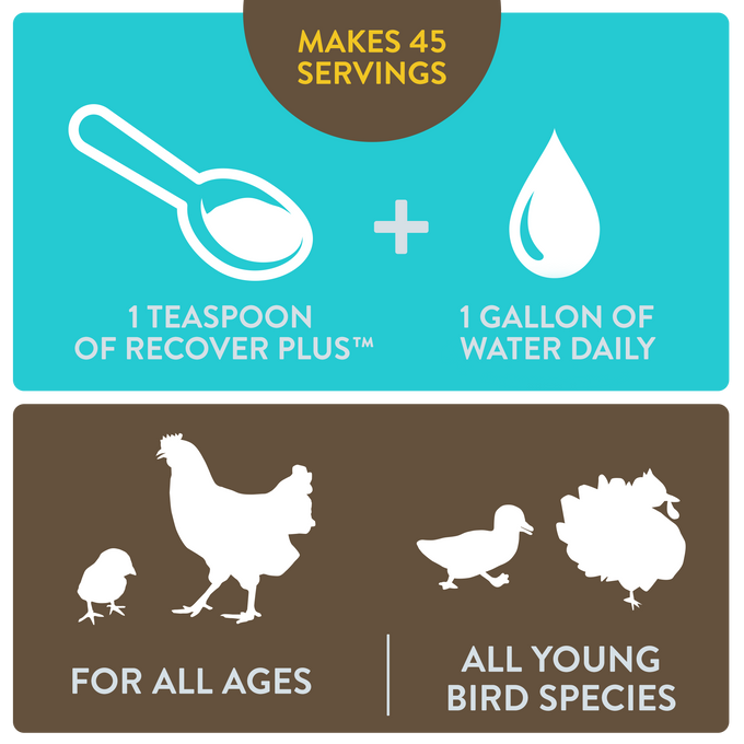 FlockLeader RECOVER PLUS