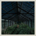 Buy – Foxing "Dealer" CD – Band & Music Merch – Cold Cuts Merch