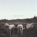 Buy – Foxing "The Albatross" CD – Band & Music Merch – Cold Cuts Merch