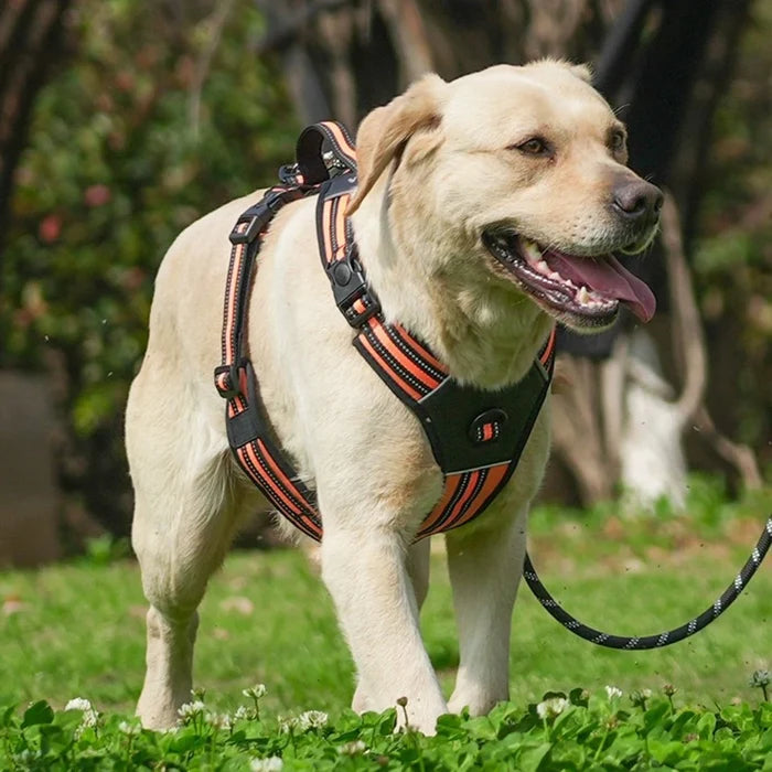 Heavy Duty Dog Harness with Handle. Padded Reflective No Pull Vest for Medium Large Dogs like Pitbull, Shepherd