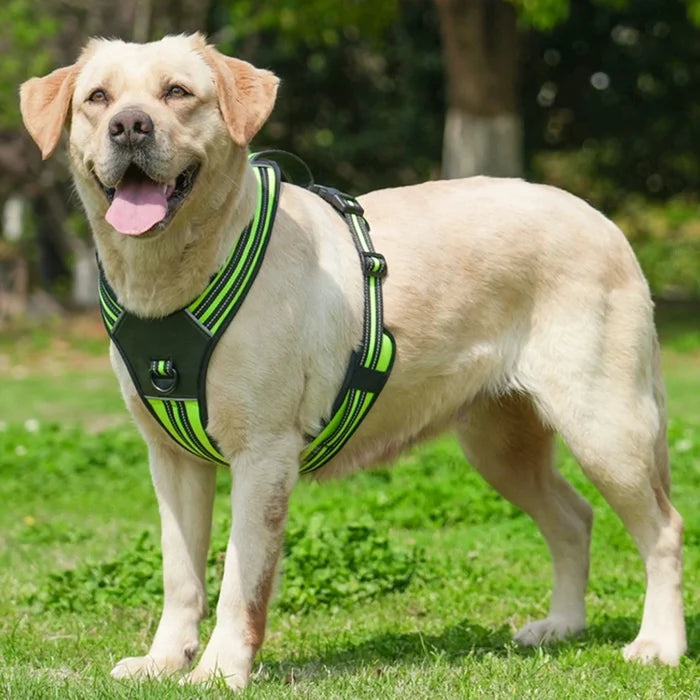 Heavy Duty Dog Harness with Handle. Padded Reflective No Pull Vest for Medium Large Dogs like Pitbull, Shepherd