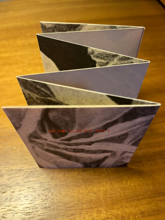 How Lucky Am I (Handmade Accordion Book)