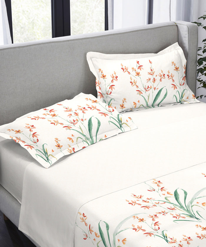 King Bedsheet