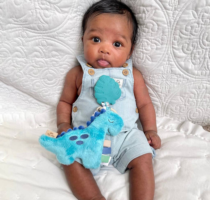 Itzy Ritzy - Itzy Pal™ Plush + Teether