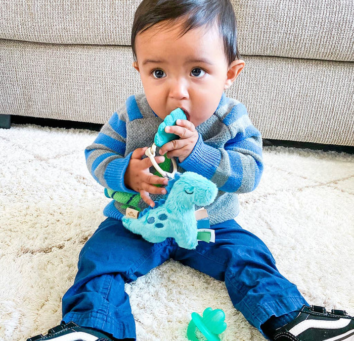 Itzy Ritzy - Itzy Pal™ Plush + Teether
