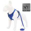 Blue / S 2-4 kg