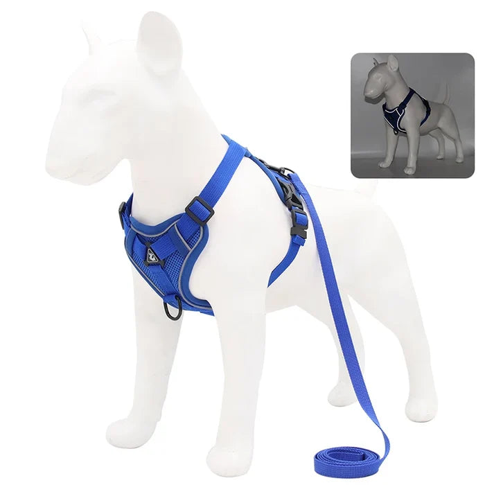 Blue / S 2-4 kg