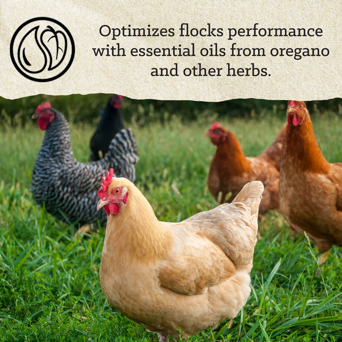 Nutrena® NatureWise® All Flock 20% Protein Pellet