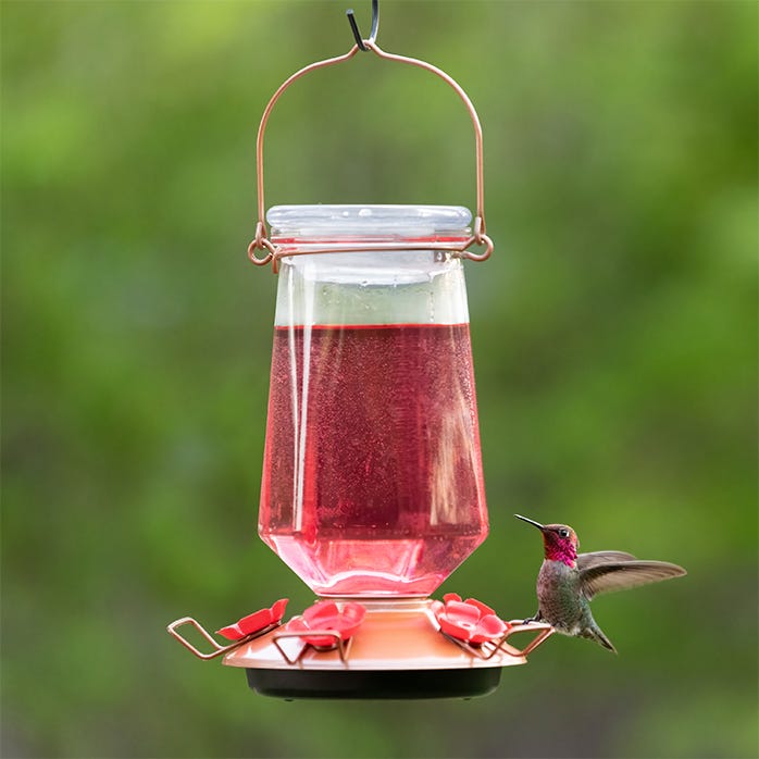Perky-Pet® Ready-to-Use Red Hummingbird Nectar - 16 oz