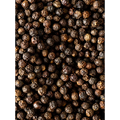 Peugeot Black Pepper: Kampot