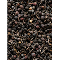 Peugeot Wild Pepper: Voatsiperifery