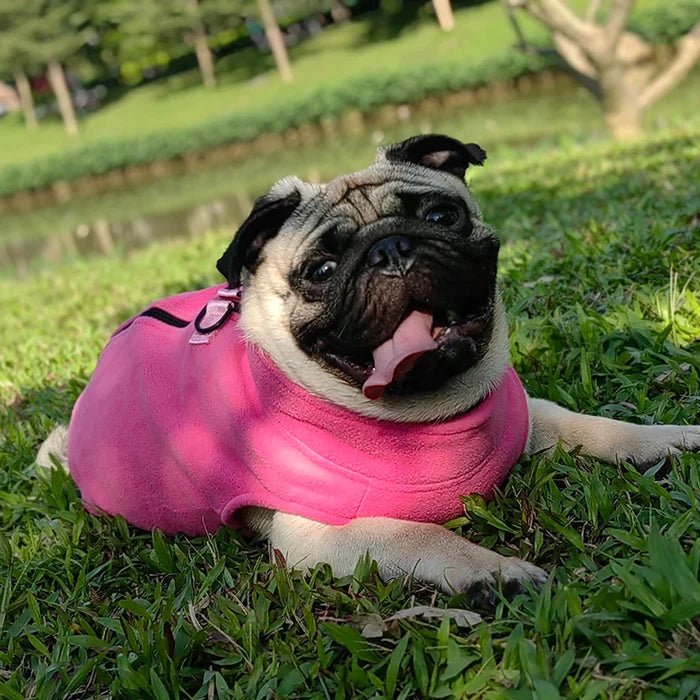 Puppy Fleece Coat Winter Warm Dog Jacket for Small Medium Breeds - French Bulldog Pug Chihuahua Vest