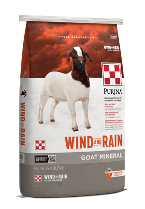 Purina® Wind and Rain® Goat Mineral