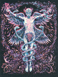 Puscifer Vancouver 2015 (Blue Variant) by Miles Tsang