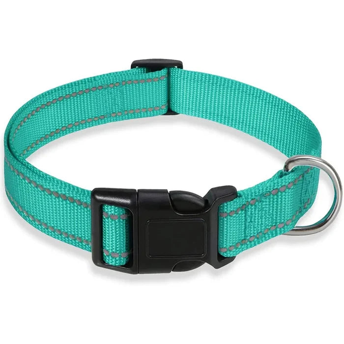 Reflective Dog Collar: Durable Adjustable Safety Nylon Strap