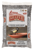 Shafer Seed- Striped Sunflower Seed