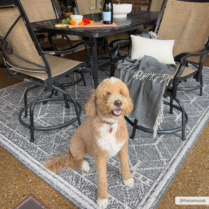 Silver and Charcoal Modern Geometrical Texture Outdoor Safe Area Rug - The Rug Decor