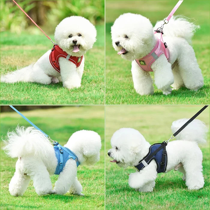 Small Dog Harness and Leash Set, No Pull Reflective Vest for French Bulldog Pug Walking, Breathable Mesh