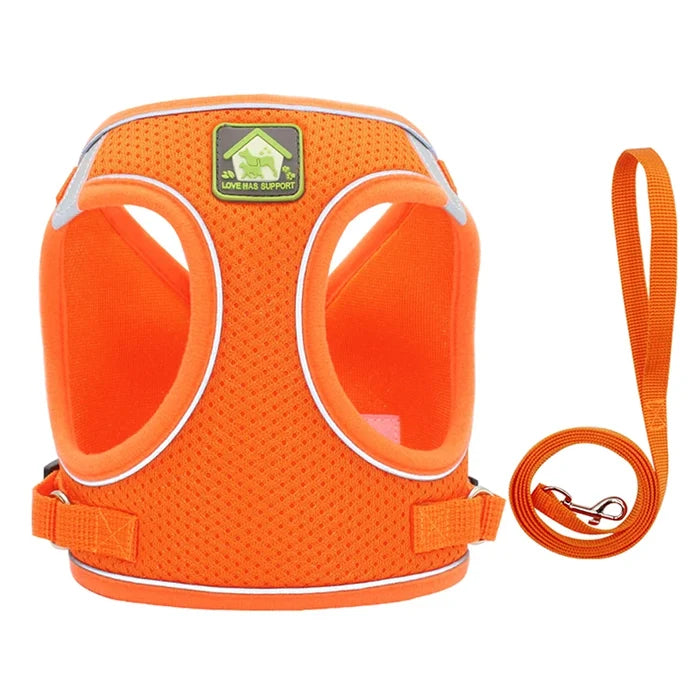 Small Dog Harness and Leash Set, No Pull Reflective Vest for French Bulldog Pug Walking, Breathable Mesh