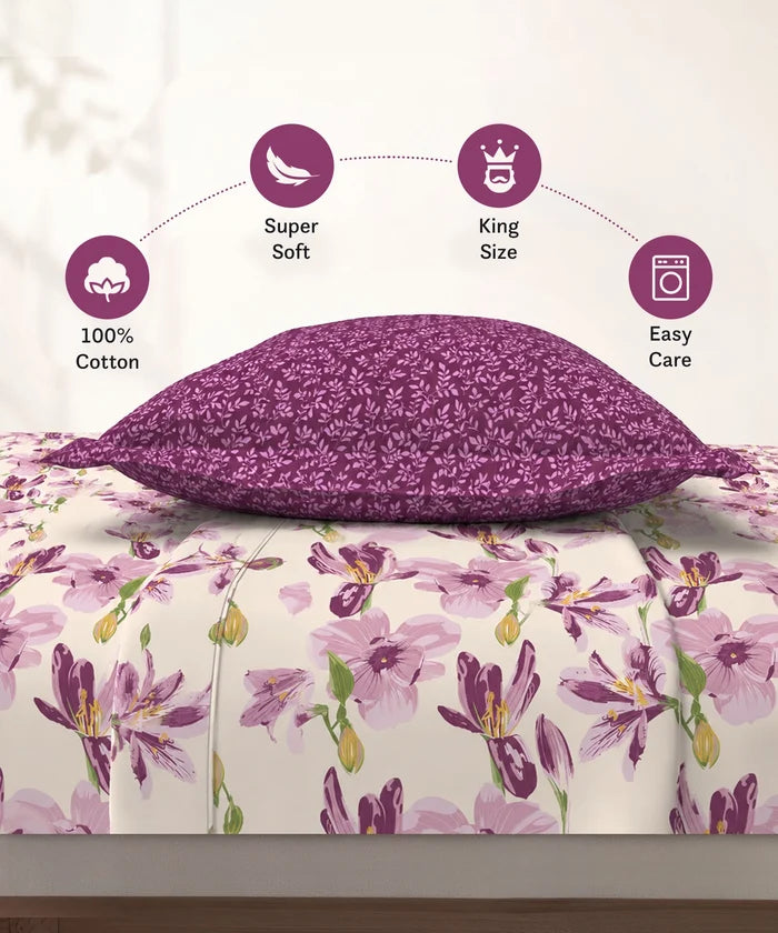 Soft Comfort King Bedsheet Set, DAHLIA | 180 TC Cotton|2 Pillow Covers