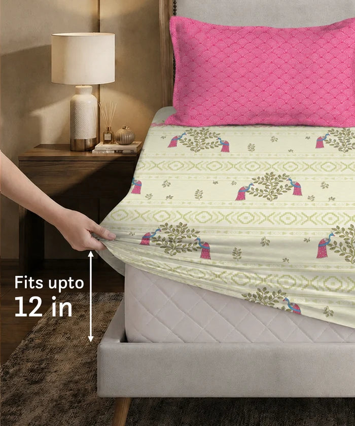 Soft Comfort King Fitted Bedsheet Set, RITVI |180 TC Cotton|2 Pillow Covers
