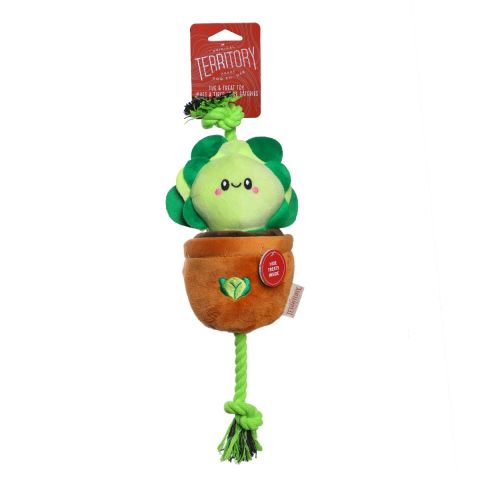 Territory Lettuce Treat-and-Tug Dog Toy
