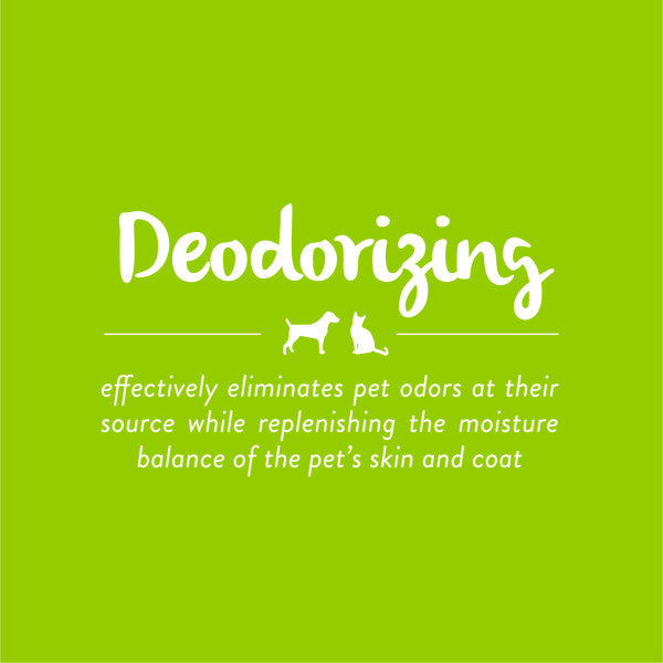 TropiClean Aloe & Coconut Deodorizing Shampoo for Pets