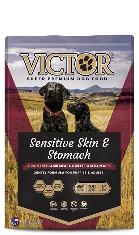 Victor Pet Sensitive Skin & Stomach Grain Free Lamb Meal & Sweet Potato Recipe Dry Dog Food