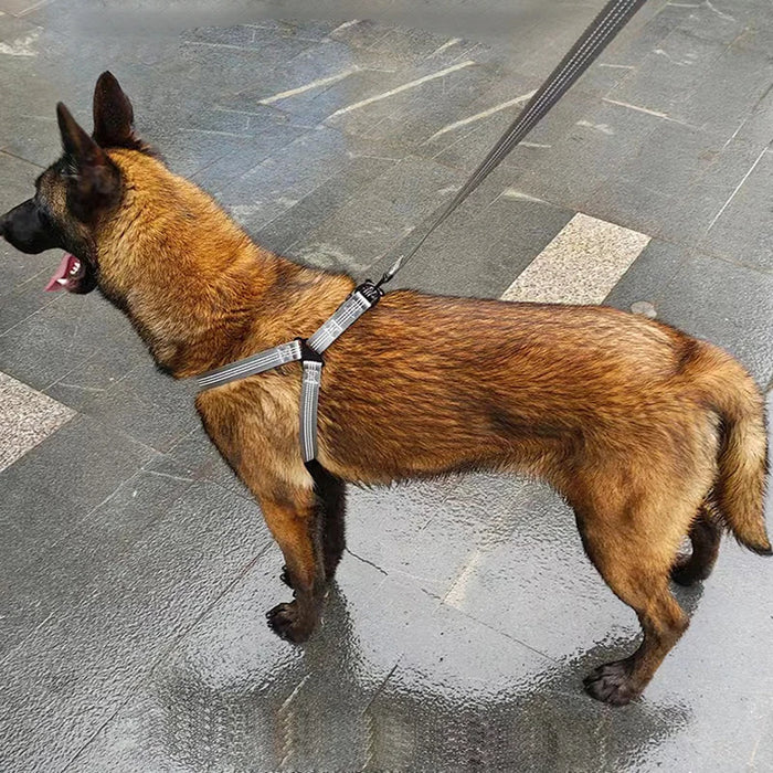 Y Harness for Dogs, Reflective No-Pull Adjustable Dog Harness for Medium & Large Dogs